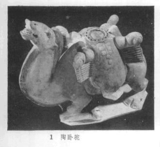 太原娄睿墓预约攻略,太原北齐徐显秀墓发掘简报