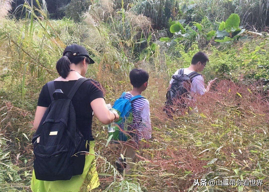深圳十大名山峰,深圳最陡峭的山峰
