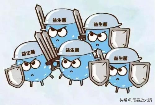 有很多人说益生菌吃了没效果,益生菌包治百病是谁说的