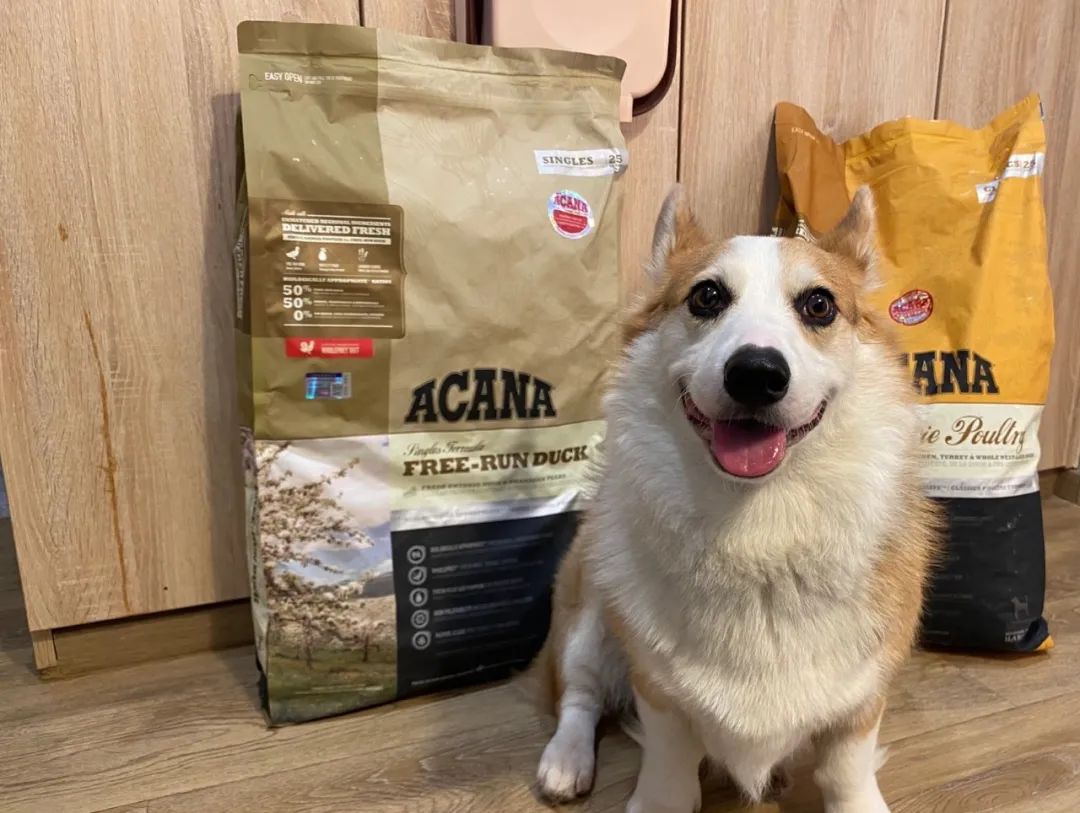 618粉丝大回馈,618粉丝福利大放送