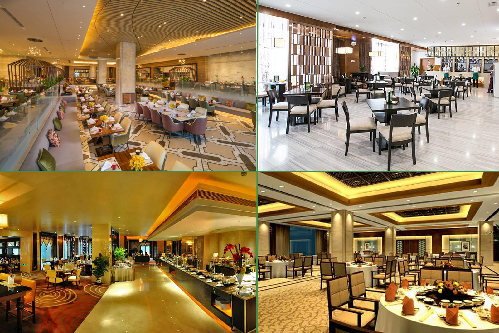 餐饮业常见的虫害及防治措施,蔬菜安全除虫药剂