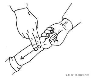 小儿推拿学习技巧视频教程,小儿推拿从零开始学会