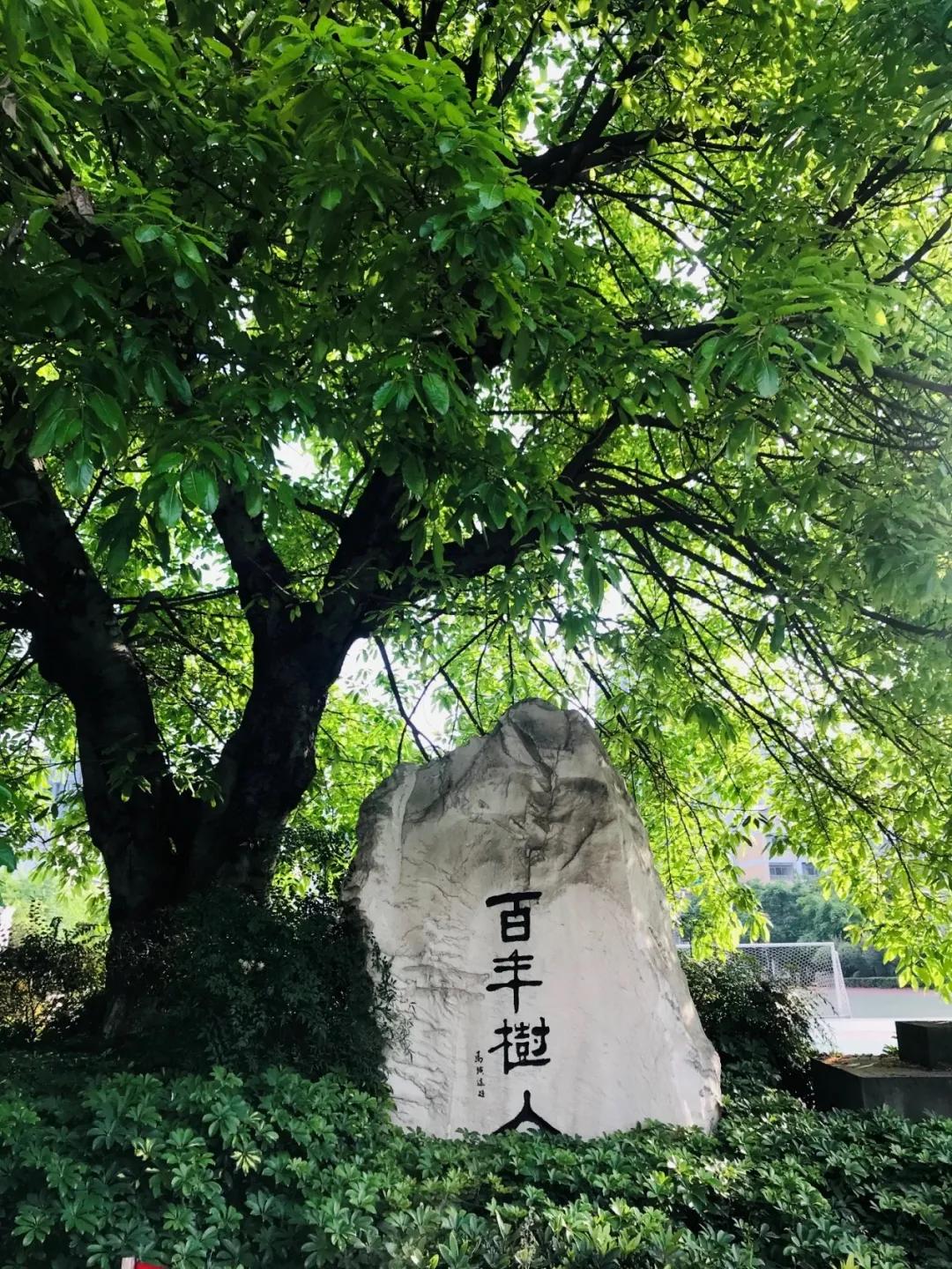 成都直属学校哪所好,成都大学附属中学是什么学校