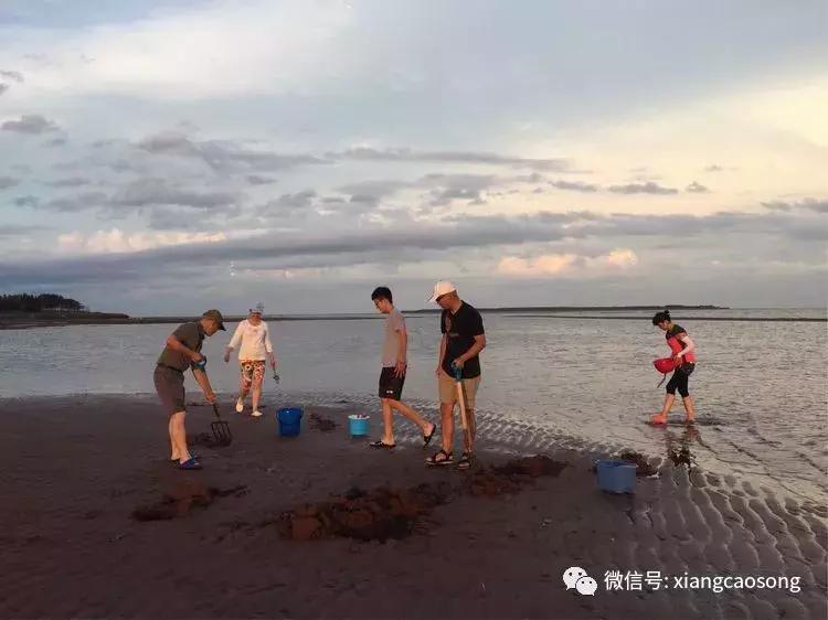 漂洋过海来挖宝,漂洋过海去台湾吃海鲜