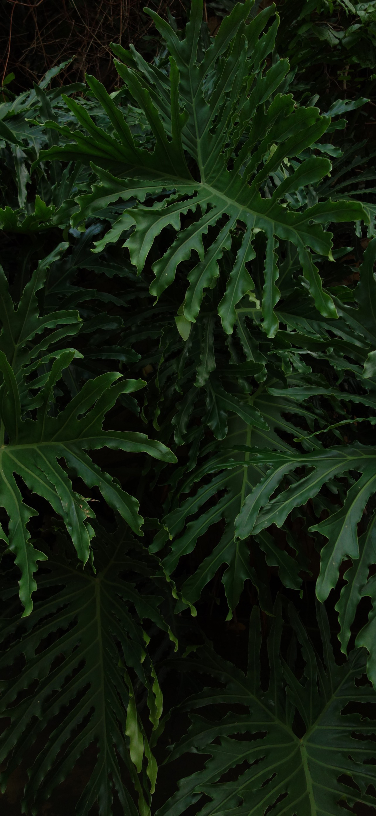 高清风景壁纸｜你静候着秋天的温柔，留我在风景之外