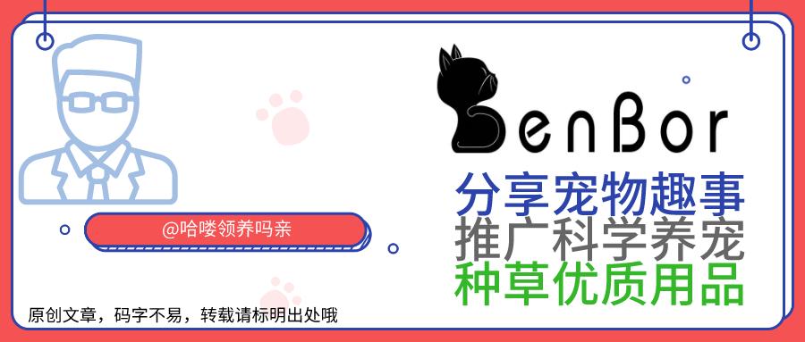 还在给狗子喂食鸡肝吗?铲屎官请收下这份动物肝脏食用手册