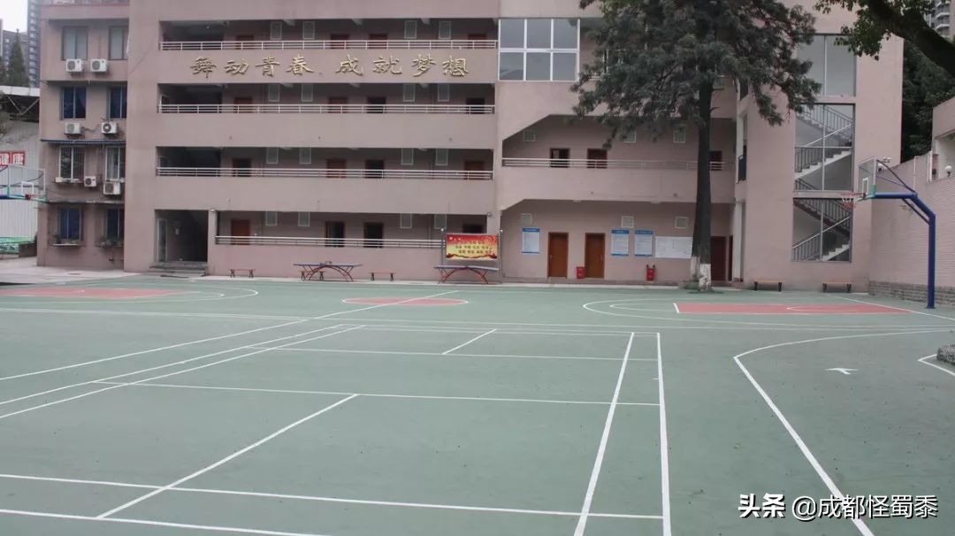 成都室内大型运动场地,周末可以打羽毛球的场子