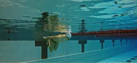 游泳滚翻转身,游泳前空翻练习