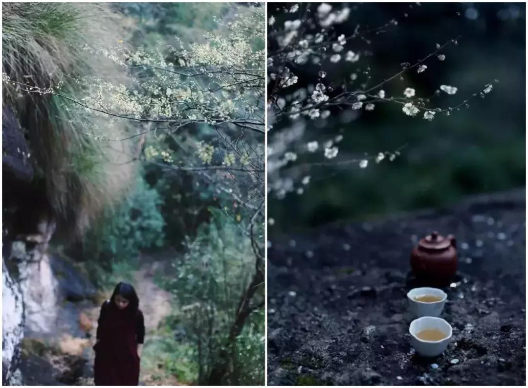 武夷山风景区民宿推荐价格表,武夷山山里民宿