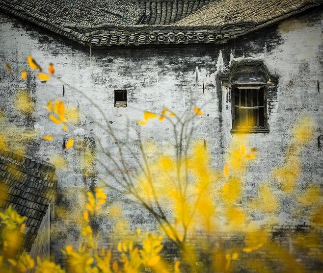 唯愿不负美景不负卿,不负美景不负卿什么意思