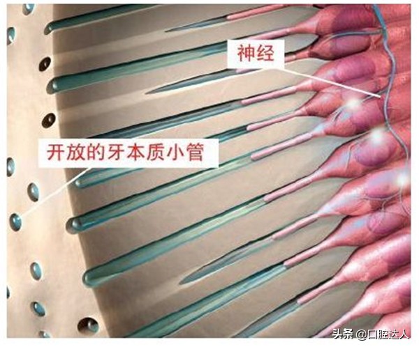 不补牙齿有问题吗,不补牙齿后牙齿会怎样