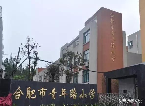 合肥优质小学排名,合肥小学排名100强一览表