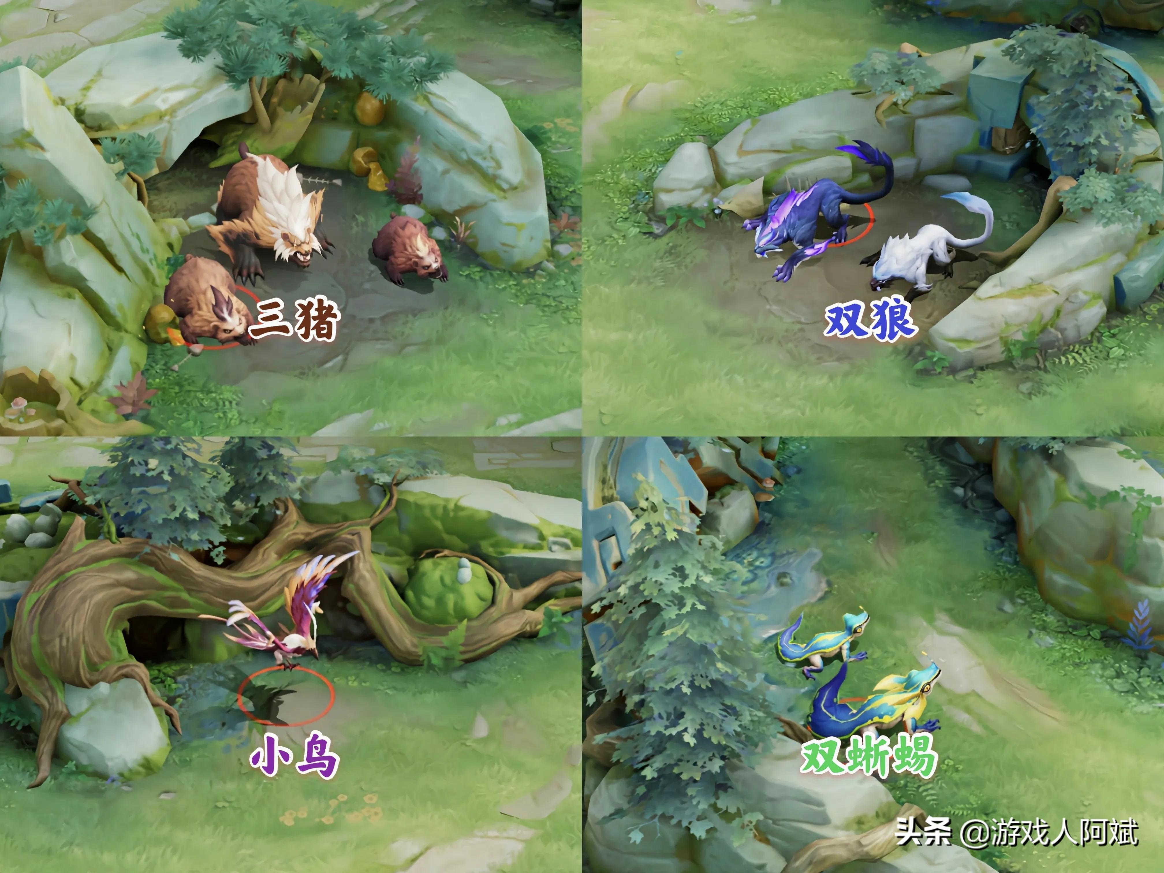 野区改动新的打野思路,野区调整后的打野思路