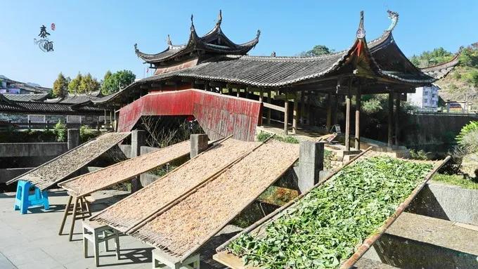 探索秘境,泰顺小众秘境