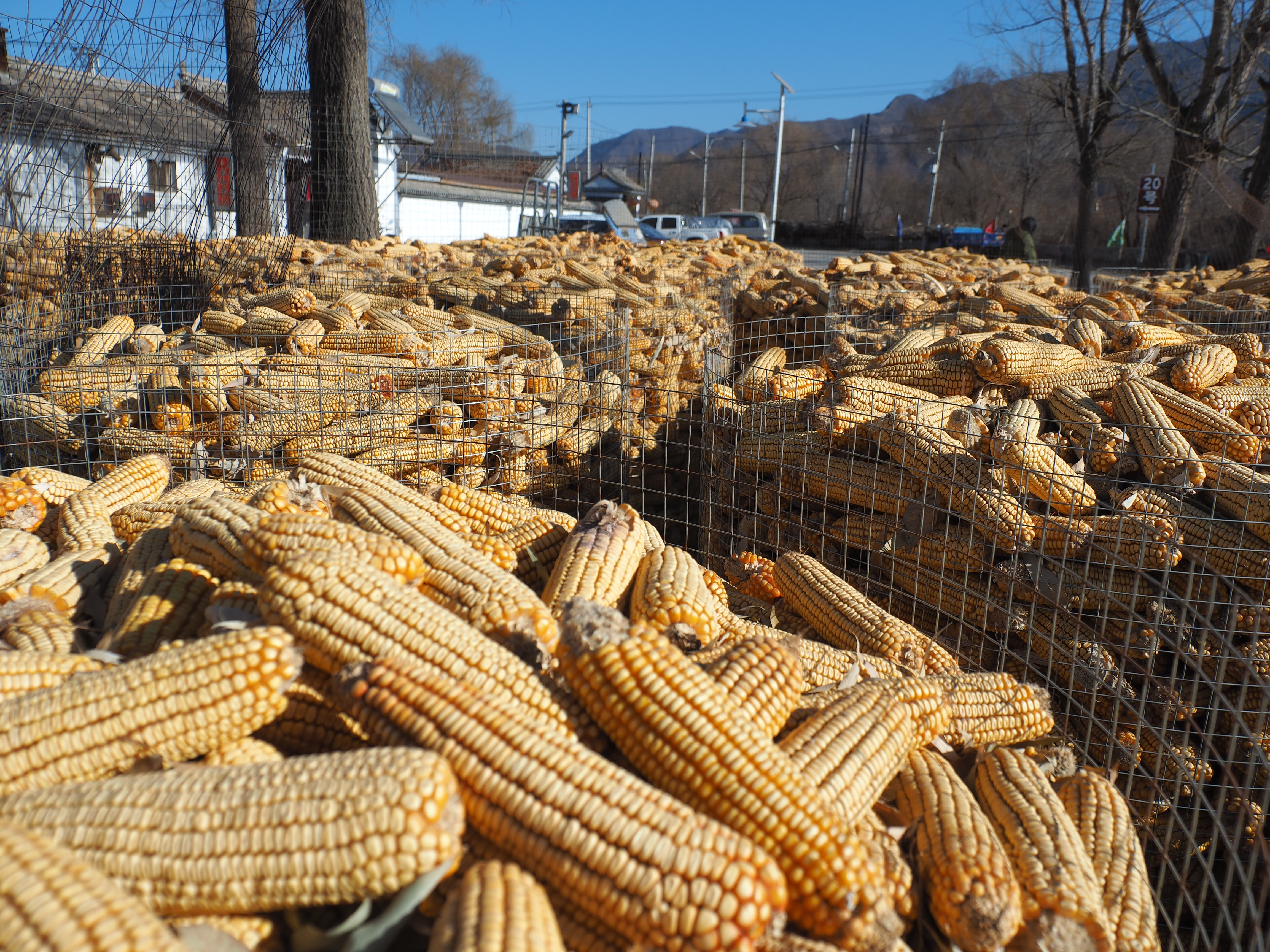 外形复古性能可靠奥林巴斯EM5II相机试用