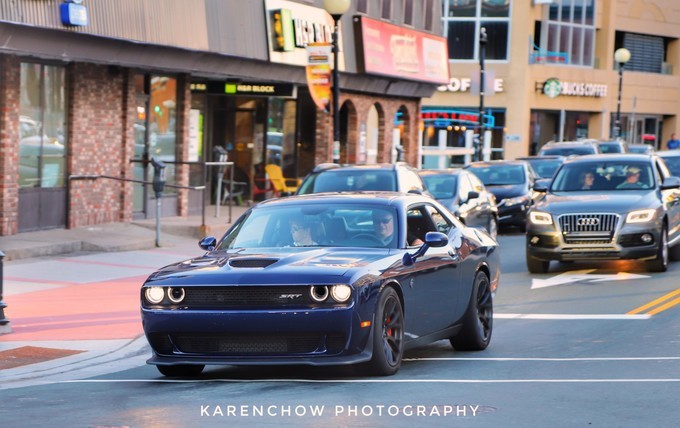 加拿大小众旅游目的地,加拿大纽芬兰自驾旅游