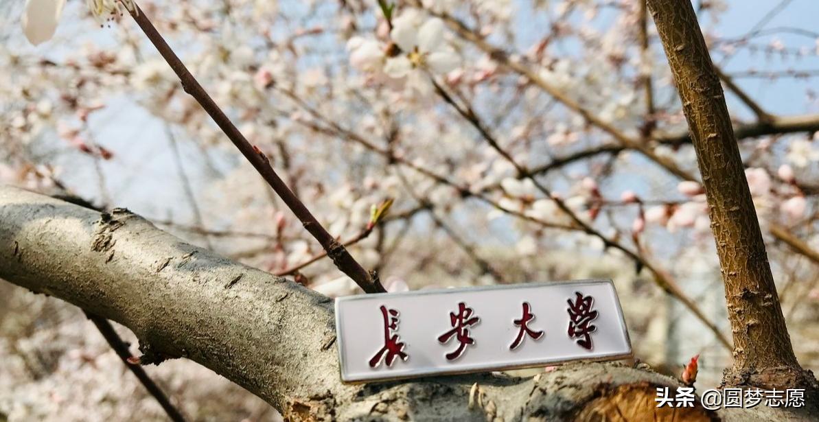 长安大学道路与桥梁工程世界排名,长安大学道路桥梁在全国排名