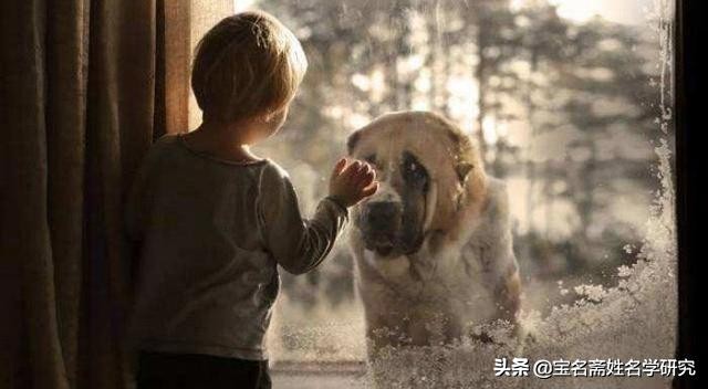 儒雅充满诗意的宝宝名,好听有意义的宝宝名小女孩