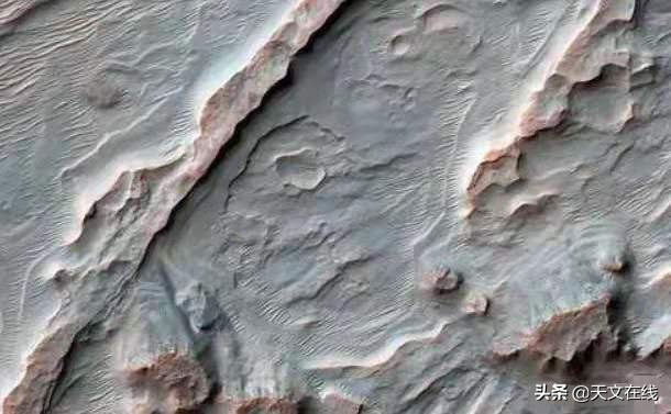 科学家发现火星上有昆虫,一名昆虫学家声称火星被大型覆盖