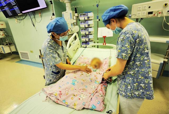 男子40多天毒死7只狗,一对夫妻被投毒