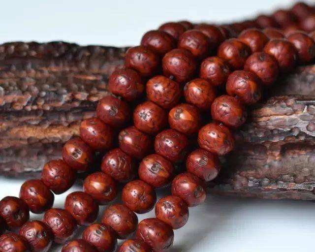 凤眼菩提的盘玩方法以及注意事项,凤眼菩提中后期怎么盘玩最好