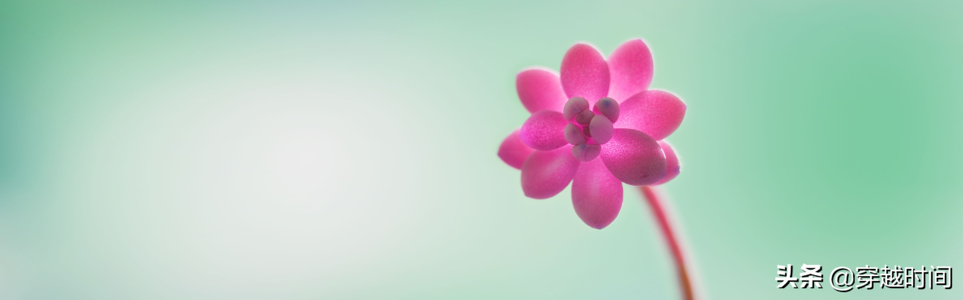 windows8原版桌面壁纸,windows8.1桌面壁纸图文