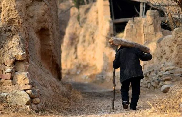 食物浪费高达2000亿，全球饥饿人口达7亿，这组数据让袁隆平痛心