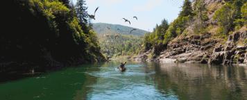 拯救不开心之类电影推荐,十部让人内心平静的电影