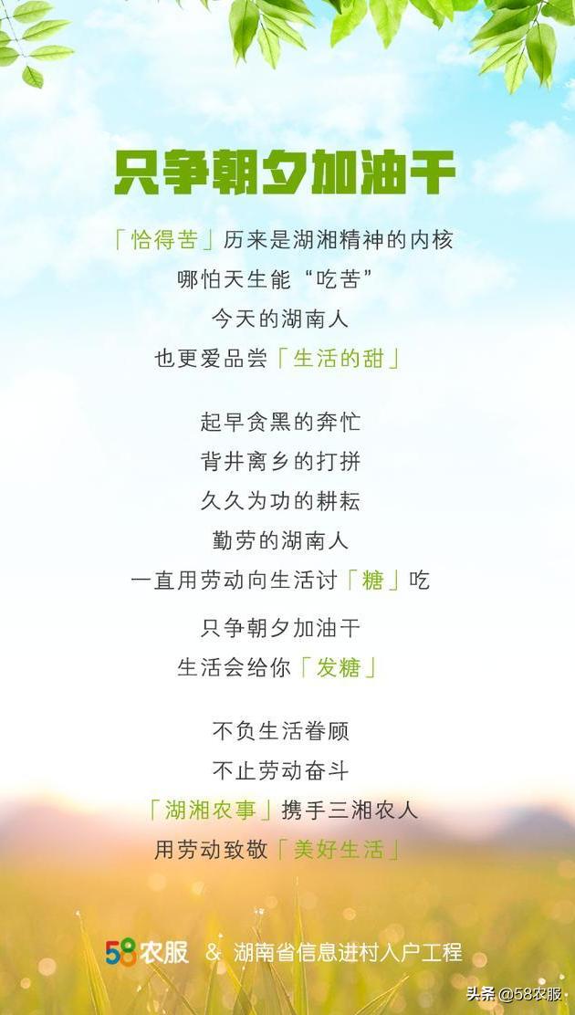 58农服携手“湖湘农事”平台,向所有湖南农民致敬