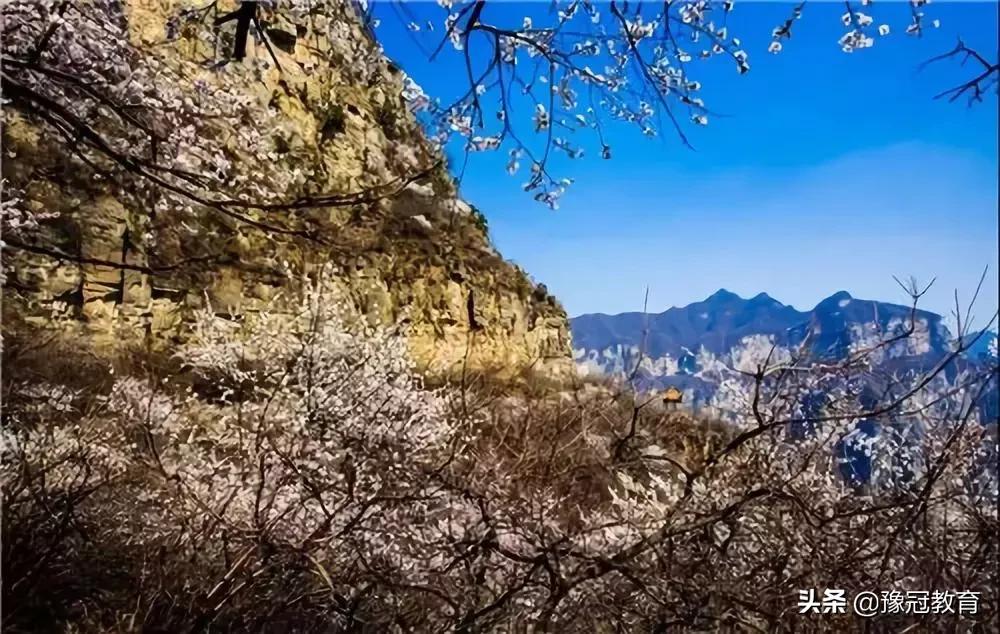 郑州黄河风景游览区五一免门票吗,107复线郑新黄河大桥收费吗