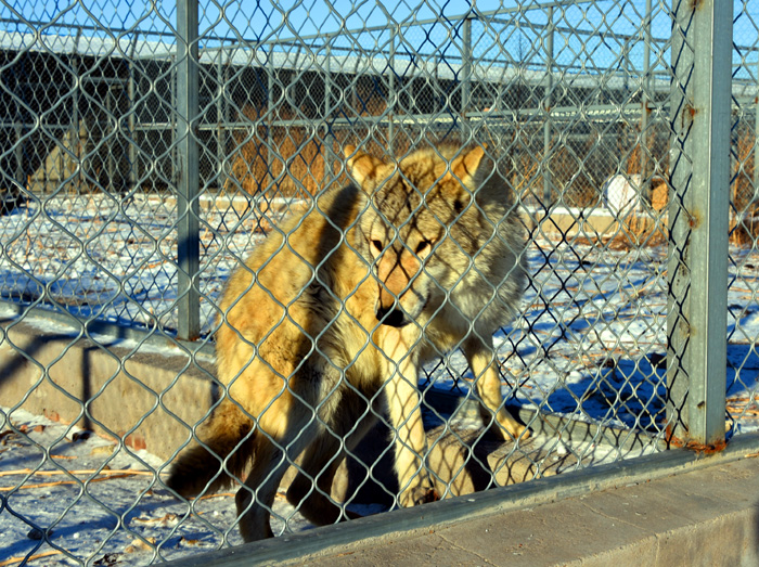 内蒙古旅游拍摄地点排名,内蒙古狼山地图