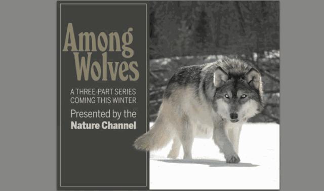 jpg图片批量裁切,如何快速批量裁切图片