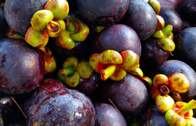 山竹水果什么人适合吃,山竹水果皇后的功效