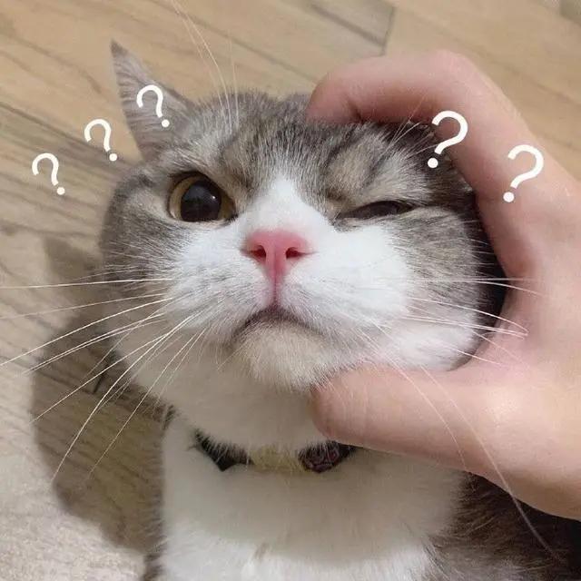 不明原因不孕做试管成功率高吗,试管哪家成功率比较高2021