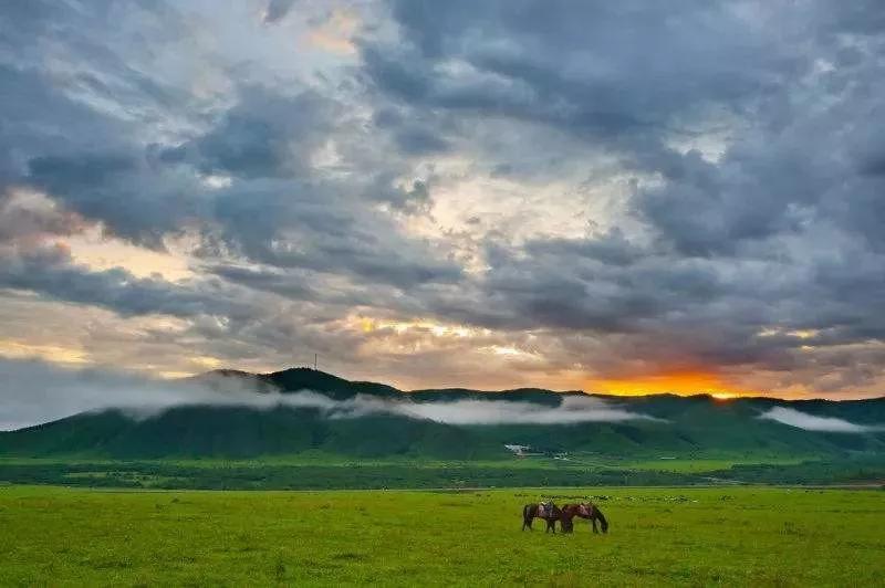 亲子成长夏令营,亲子夏令营招募江苏