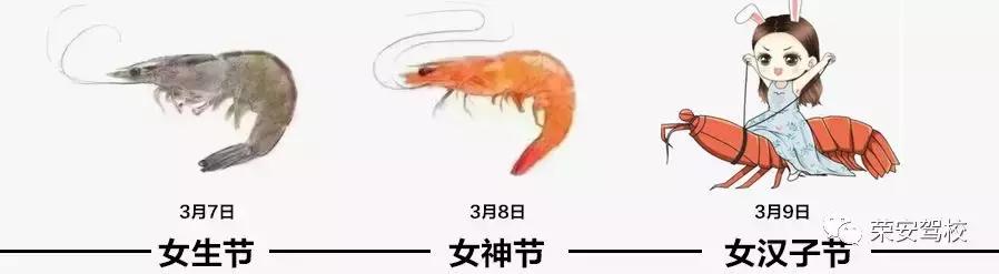 在荣安驾校学车,上海学车荣安