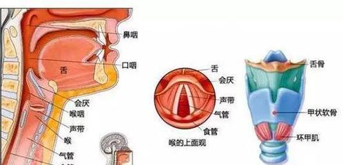 什么是霉菌性食道炎？得了霉菌性食道炎主要有哪些症状？