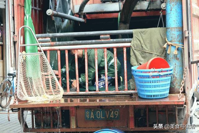 国内有名的海鲜市场,并不是北京新发地,而是广东黄沙水产市场