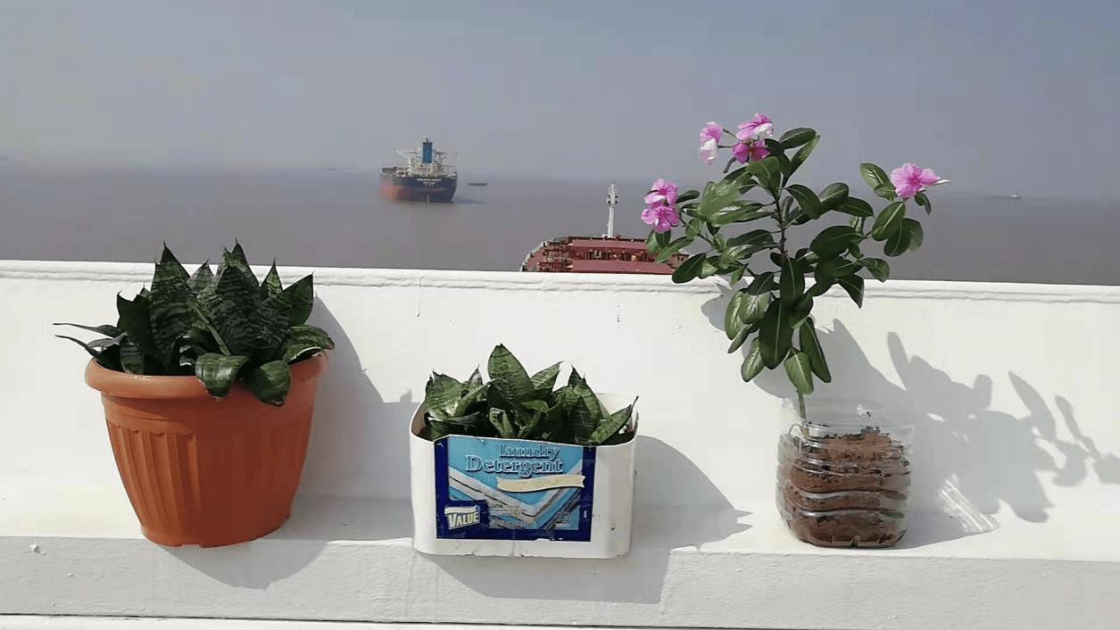 在海上确诊的中国水手：隔离期间写遗书，曾被三座海港拒收