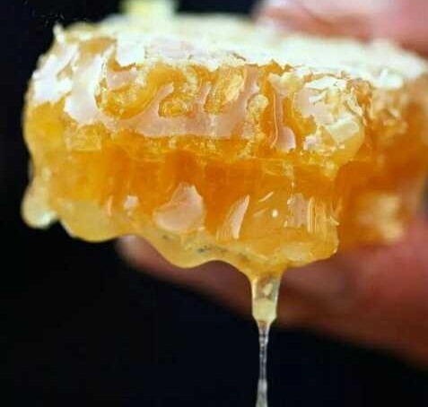 蜂群如何预防蚂蚁和蟑螂又不伤蜂,蜂箱内有蟑螂和蚂蚁怎样防治