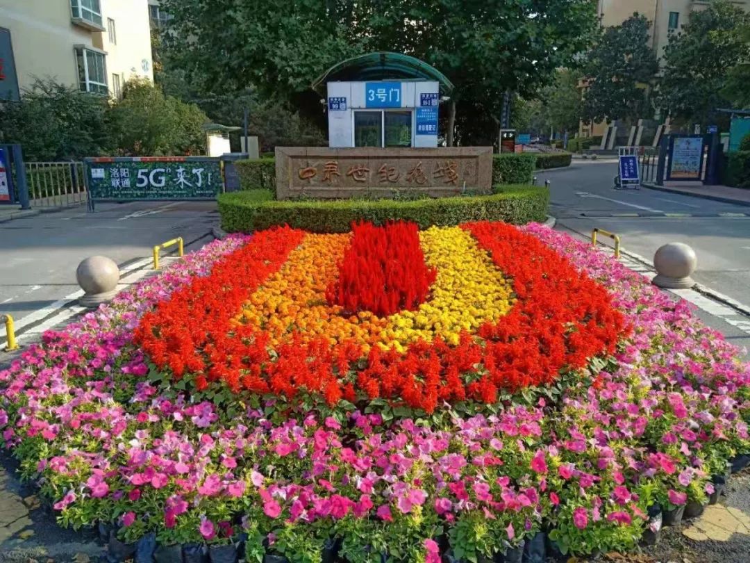 官宣!洛阳最优美小区,谁家住这儿?太羡慕了