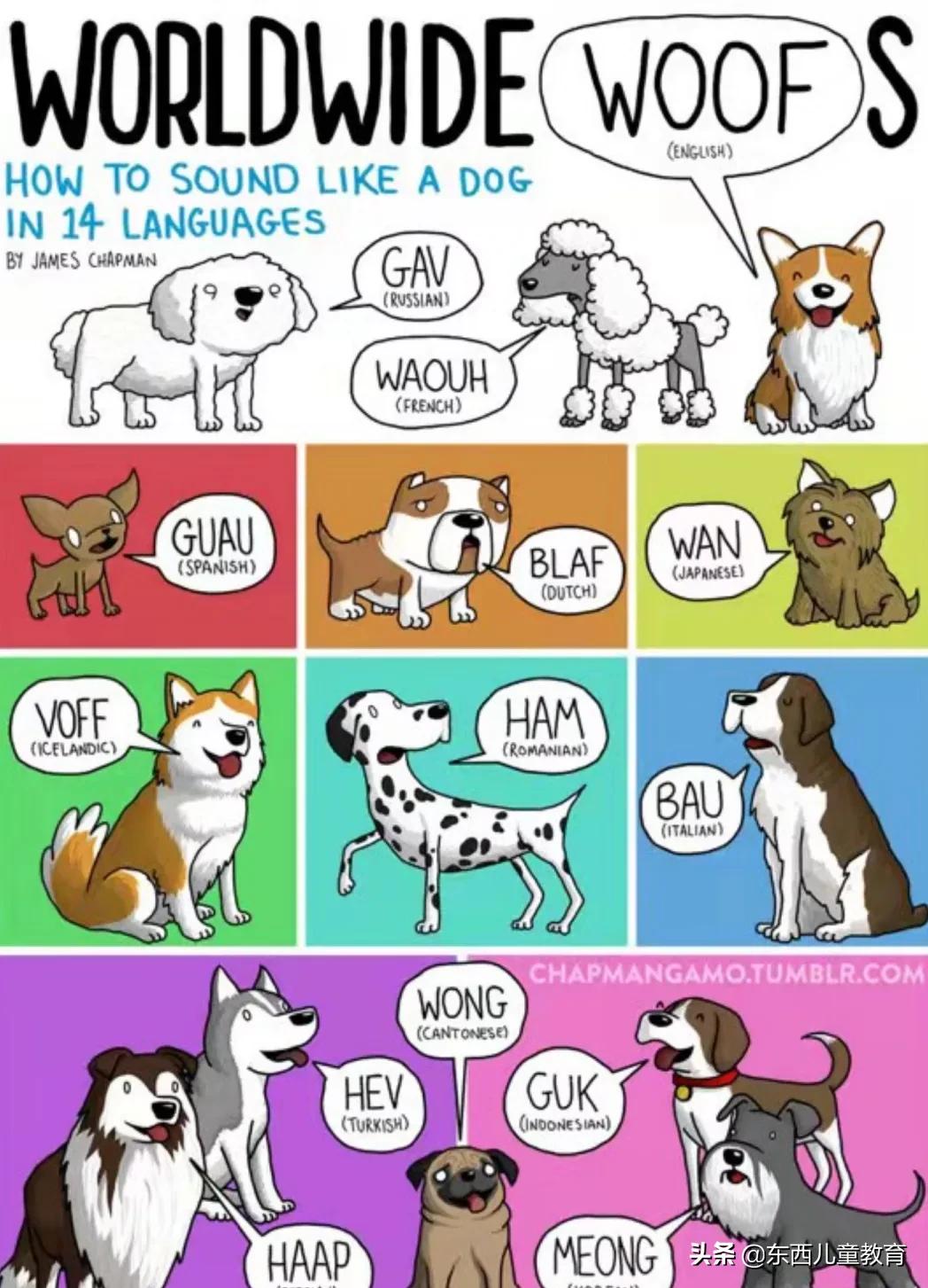 一套适合所有孩子的英语学习方法,让孩子学习英语的方法