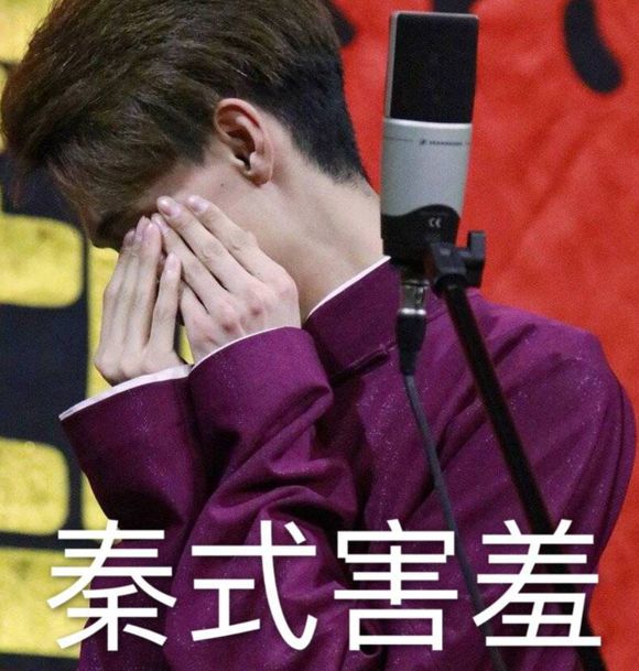 纲丝节秦霄贤主持,纲丝节秦霄贤主持合集