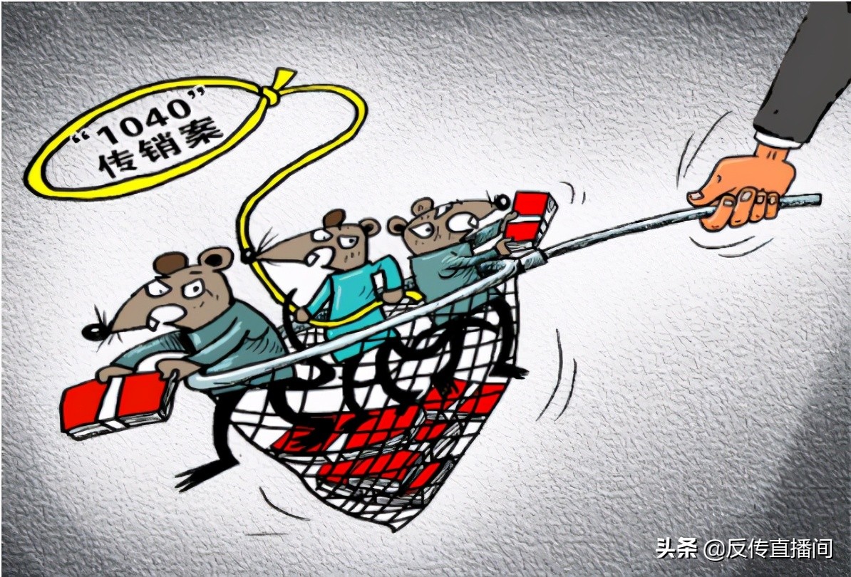 1040阳光项目到底有多恐怖,1040阳光项目犯法吗