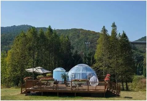 大连棒棰岛风景区门票多少钱,大连棒棰岛现在对外免费开放吗