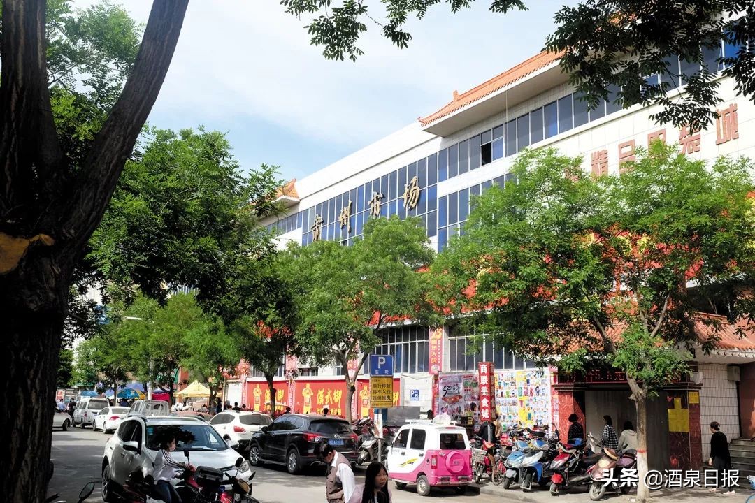 壮丽70年奋斗新时代在线观看,壮丽70年奋斗新时代完整版