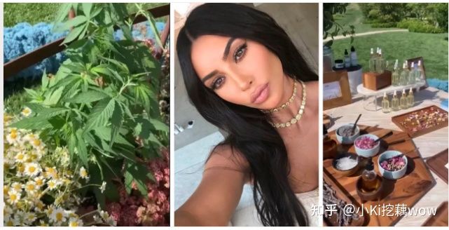 cbd成分为什么被禁用,cbd是什么成分的产品