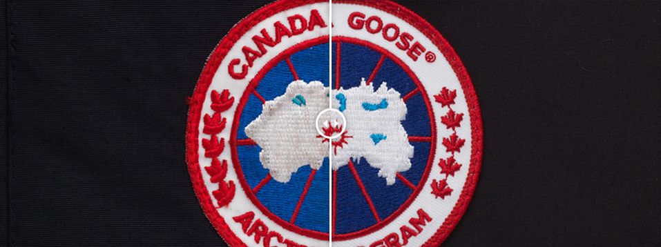 十件大鹅九件假四招教你辨真假,十件大鹅九件假是什么意思