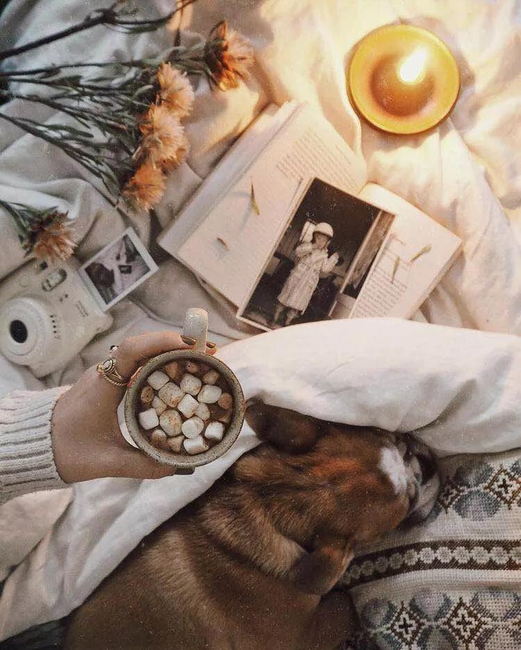 室内香水味道哪种好闻又持久,好闻的香水气味有哪些