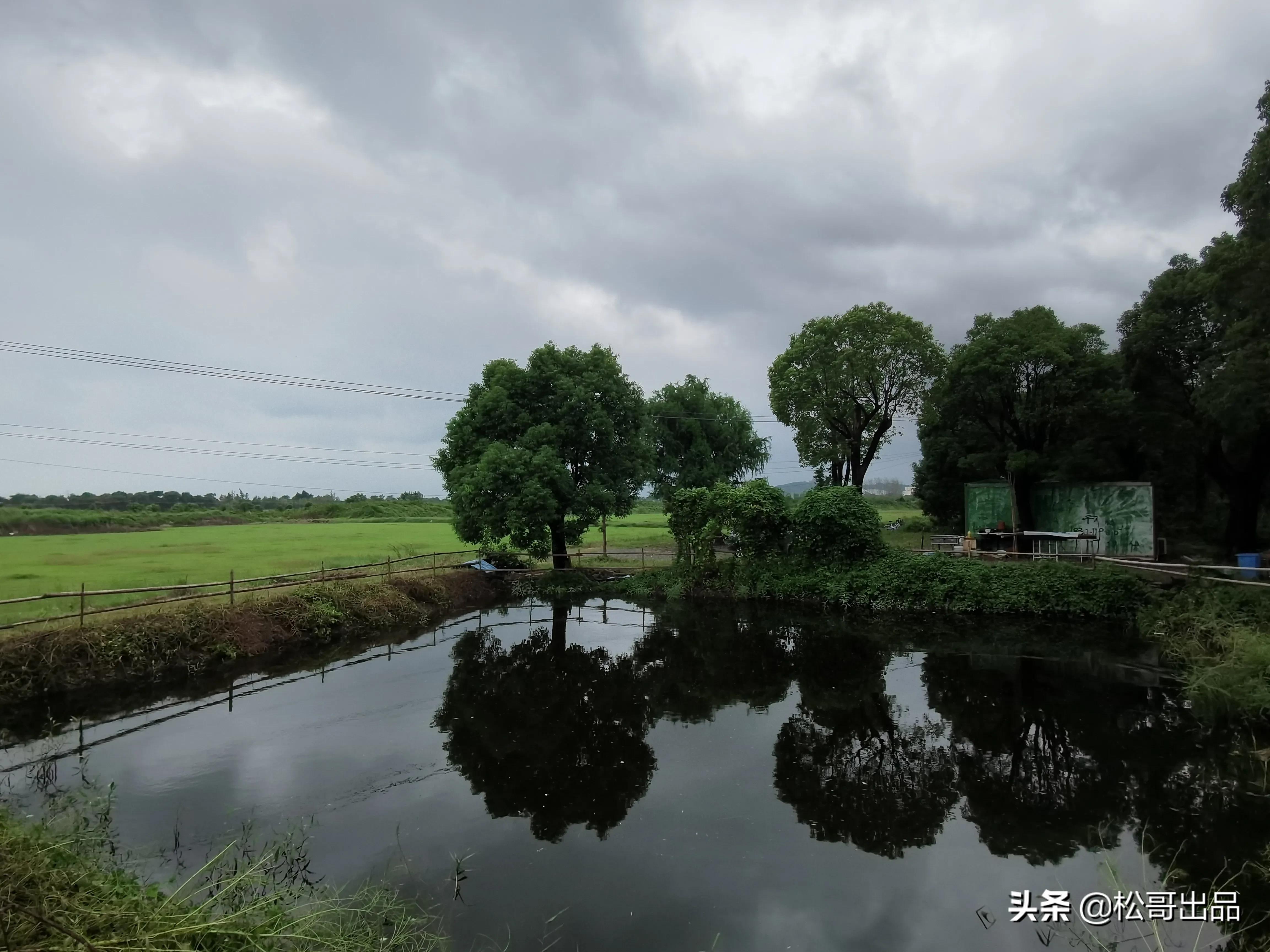农家田园共享菜园,田园生活乐趣多上海菜园